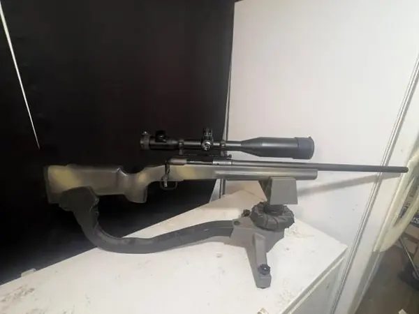 Savage 243
