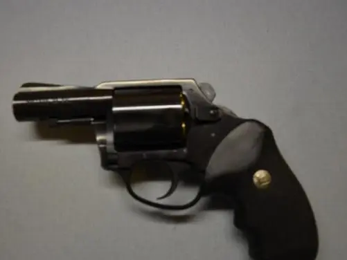 Charter Arms 44 Bulldog