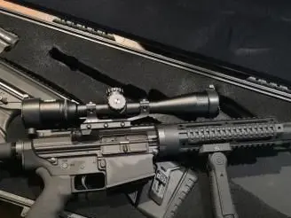 DPMS AR 308