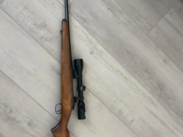 Rifle with a site