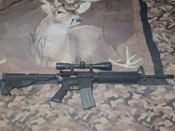 LRB ARMS 556