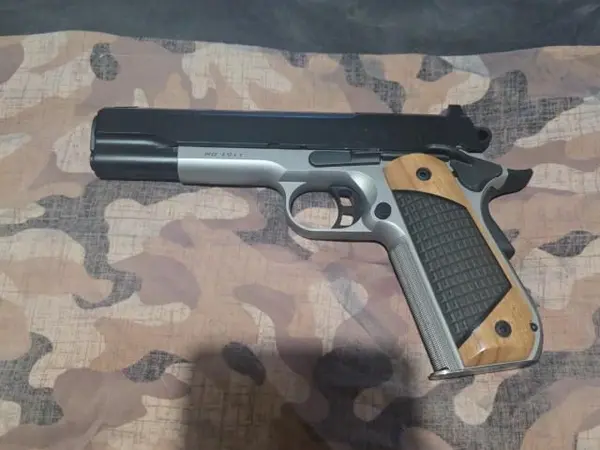 Kimber next gen custom