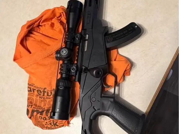 Ruger precision 22lr
