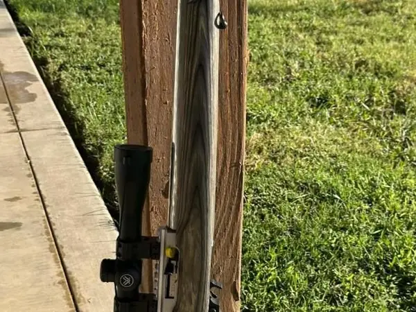 Ruger 10/22