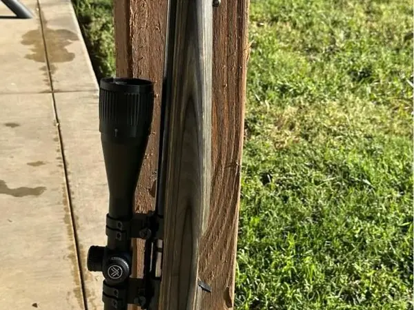 Ruger 22 Magnum