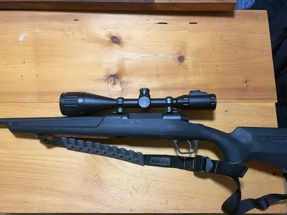 Savage axis 308