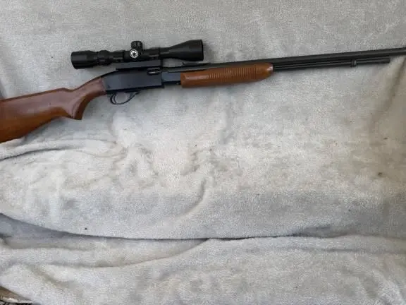 Remington model 572 field master