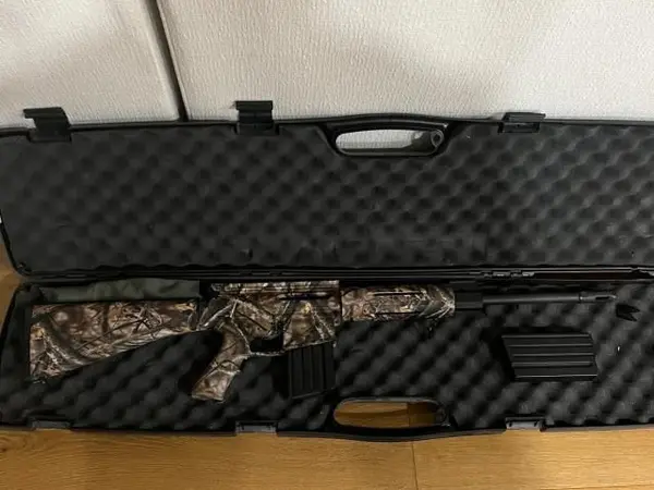 DPMS .308