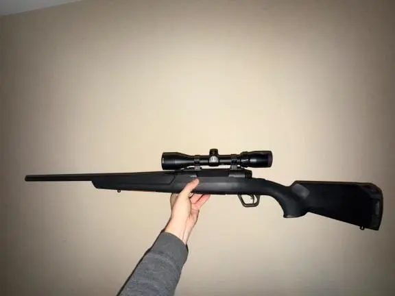 Savage axis