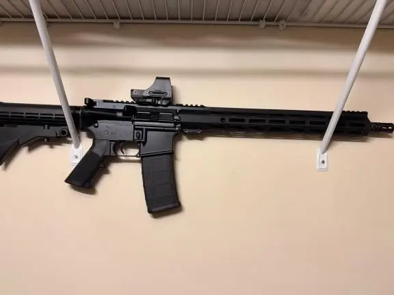 New Ruger harrier with holosun + extras