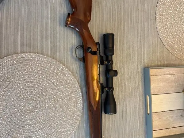 Weatherby 243