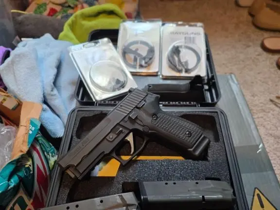 Sig 229
