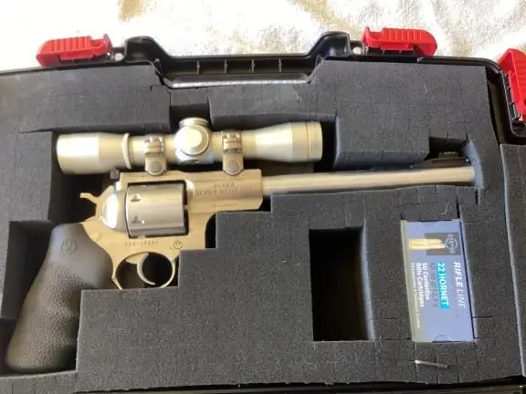 Ruger 22 Hornet