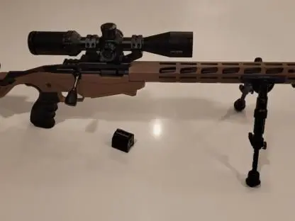 Ruger Precision .22 FDE