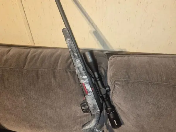 Winchester wildcat