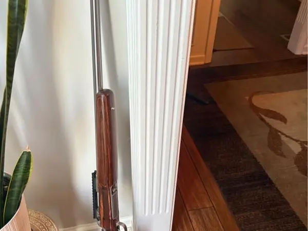 Savage Model 12