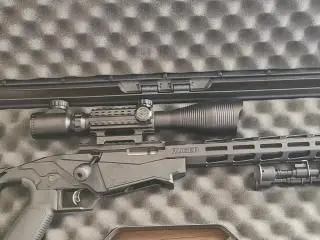 Ruger Precision 22lr