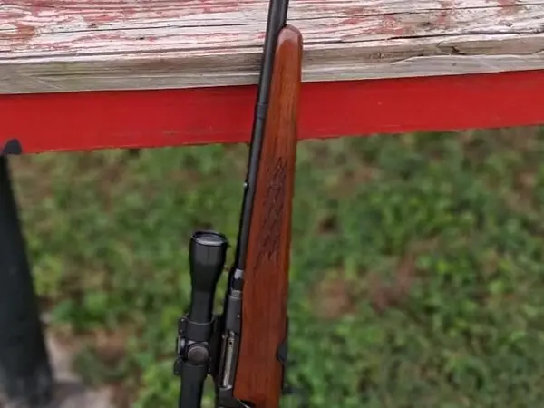 Savage 340V 225 bolt action rifle