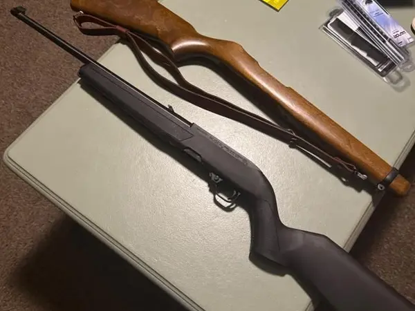 Ruger 10/22