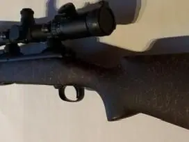Savage Model 11