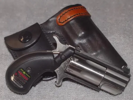 NAA Pug 22 Magnum with LaserLyte Grip