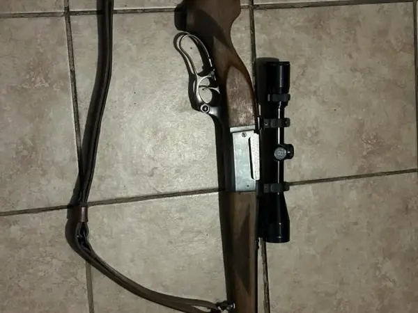 Savage 99