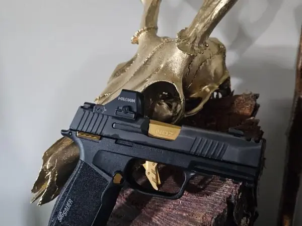 Sig p365 Xmacro Comp Custom!