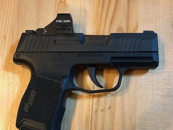 Sig 365