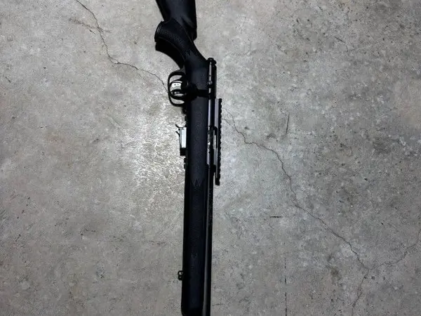 Savage Model 93 FV-SR 22 WMR