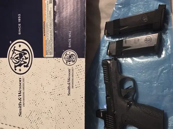Smith wessom bodyguard 2.0 w/veridian RMR