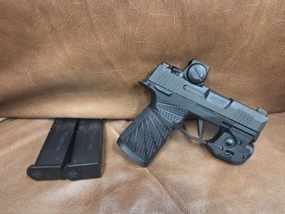 Sig 365 X w/ Romeo X Compact & TLR 6 Streamlight...
