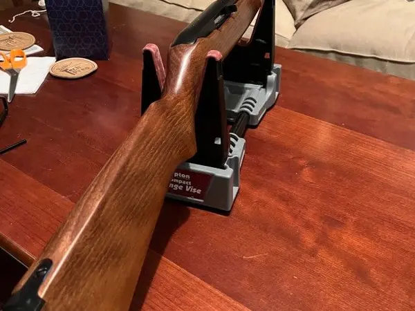 Ruger 10/22 Rimfire Rifle
