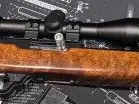 Ruger 10/22 bull barrel