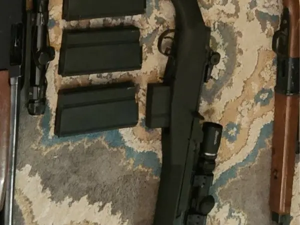 Springfield M1A scout squad, Burris scout 2x7 scope