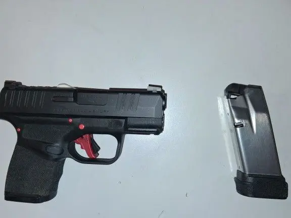 Springfield Armory Hellcat