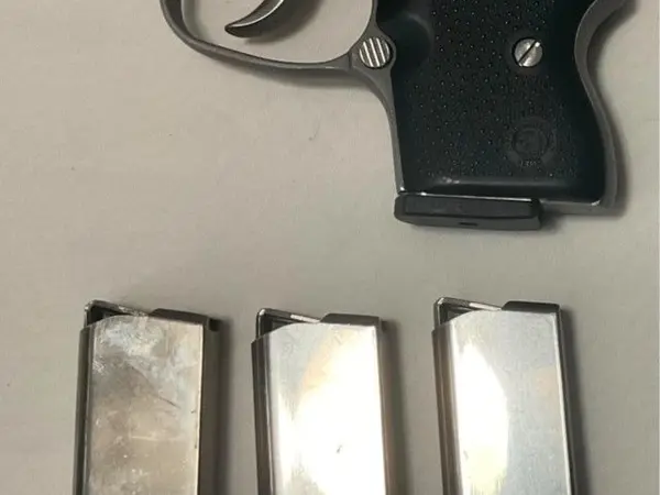 WTB NAA Guardian 32acp