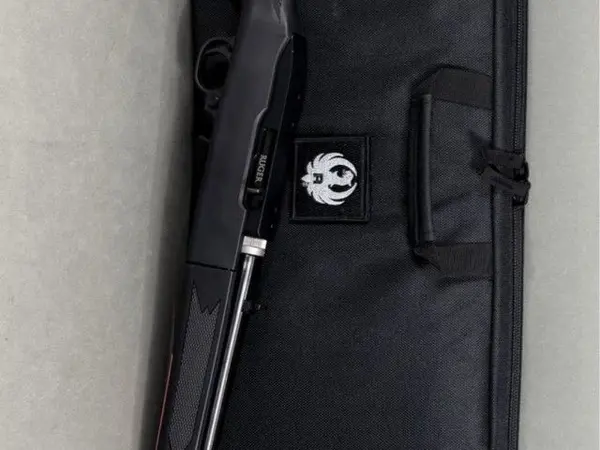 Ruger Take Down 22