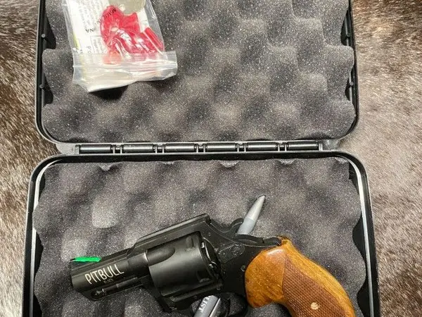 LNIB Charter Arms Pitbull 45 acp