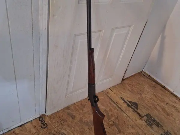 New England 12ga