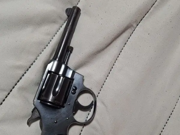 Colt