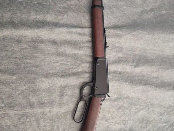 Henry Youth Model 22