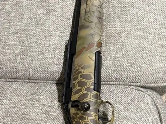 Ruger American Predator .223
