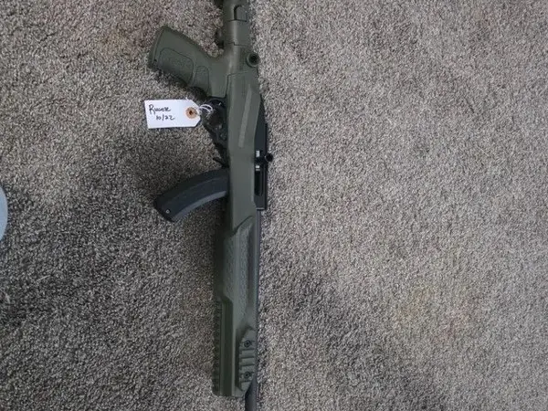 Ruger 10/22
