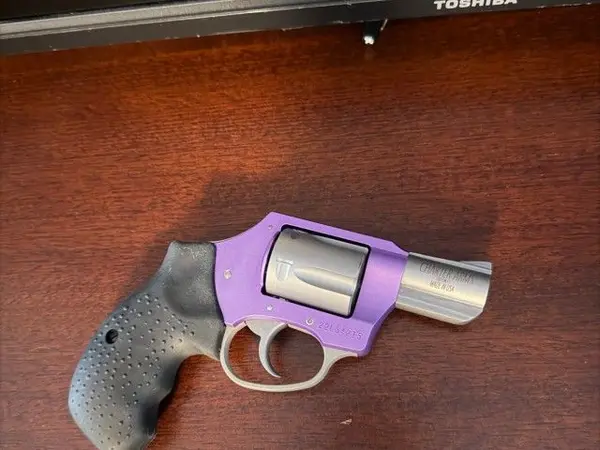 Charter Arms Lavender Lady