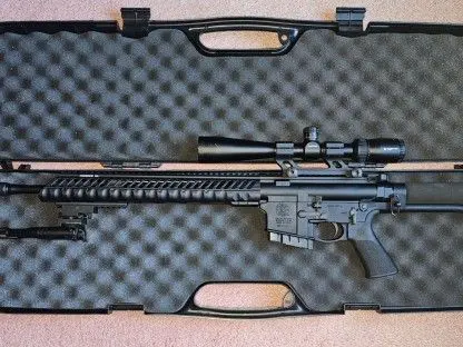 Smith and Wesson M&P 10 .308