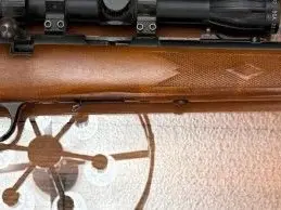 Marlin Model 25N