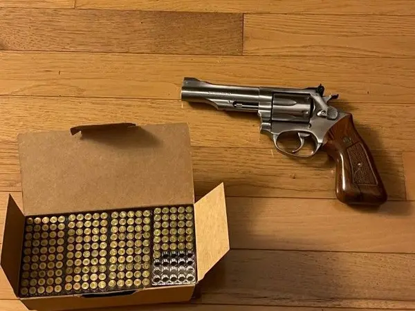 *Rare* Rossi .22 Magnum Stainless Steel 4.25”