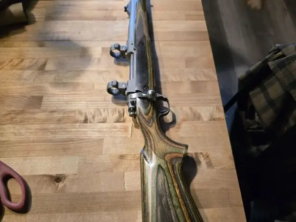 Ruger .338 Guide Gun