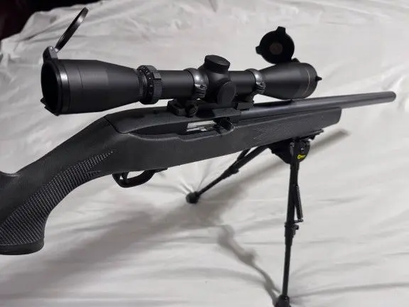 Upgraded Ruger 10/22