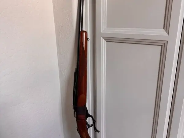 Ruger Model 1